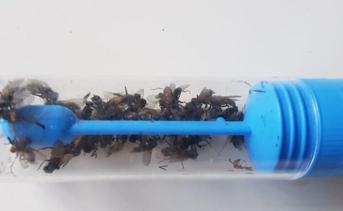 Verzoek deelname interview: ervaring met DCMR