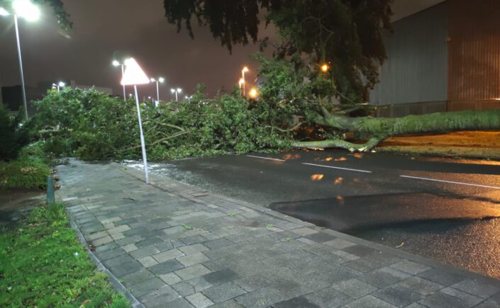 Eerste herfststorm van 2025 veroorzaakt overlast in Heijplaat: boom blokkeert Droogdokweg