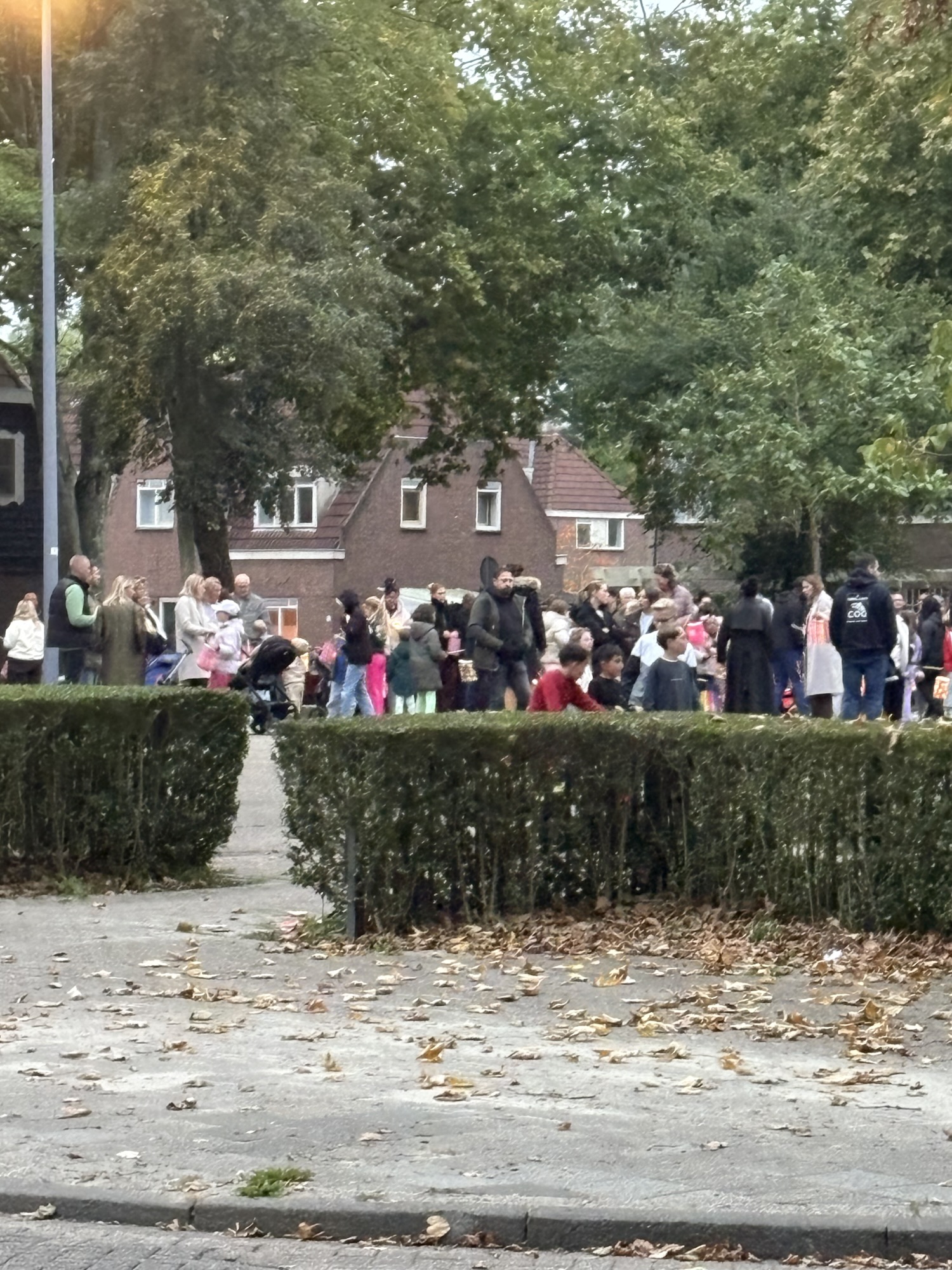 Sfeervolle lampionnenoptocht verlicht Heijplaat