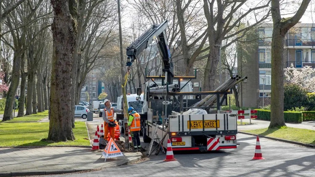 Nieuwe lantaarnpalen in Heijplaat: deze straten zijn aan de beurt